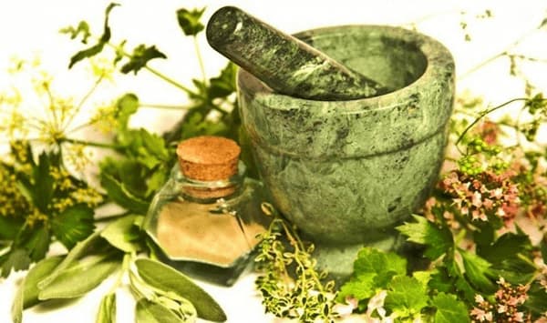 خرید و فروش گلنار فارسی برای عفونت با شرایط فوق العاده